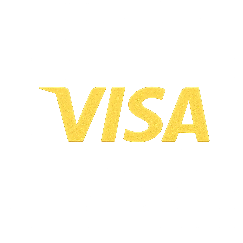 Visa payment icon